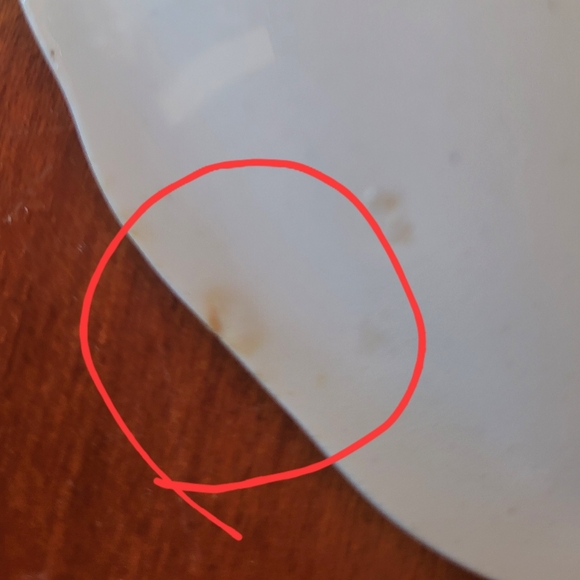 Lot of 4 Antique John Maddock & Sons Saucers Royal Vitreous Rhine 6 in See PicsA - Picture 11 of 12